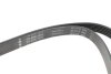 Ремень генератора Audi A4/A6 1.6-2.0 00-08 (6PK1570) INA FB 6PK1570 (фото 2)
