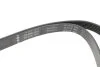 Ремінь генератора Audi A4/A6 1.6-2.0 00-08 (6PK1570) INA FB 6PK1570 (фото 2)