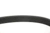 Ремінь генератора Fiat Doblo 1.3/1.6D 10-/Ducato 2.2D/Ford Transit 2.2TDCI 06- INA FB6PK1670 (фото 4)