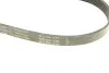 Ремень генератора MB W202/203/VW/Audi 2.4/2.8i INA FB 6PK1760 (фото 4)