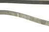 Ремень генератора MB W202/203/VW/Audi 2.4/2.8i INA FB 6PK1760 (фото 5)