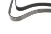 Ремінь генератора Renault Trafic 1.9dCi/2.5dCi 01- (+AC) INA FB 6PK1795 (фото 3)