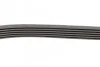 Ремінь генератора Opel Combo/Astra/Vectra/Omega 1.2-2.2 91-03/BMW 1 (E81/E87) 2.0D 04-11 INA FB 6PK1800 (фото 2)