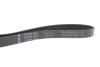 Ремень генератора MB C-class (W202) 2.0 95-01 INA FB 6PK1863 (фото 4)