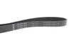 Ремень генератора MB C-class (W202) 2.0 95-01 INA FB 6PK1863 (фото 4)