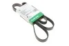 Ремень генератора Audi/BMW/Chevrolet/MB/Opel INA FB 6PK1873