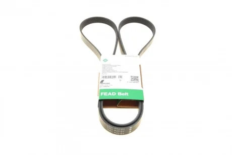 Ремінь генератора Ford Focus 1.4/1.6 98-05/Toyota Rav4 1.8 00-05/Daewoo Nubira 1.8/2.0 99- INA FB 6PK1893