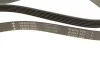 Ремень генератора MB C-class (W202)/E-class (W211) 2.2CDI/2.7CDI 98-09 INA FB 6PK2250 (фото 2)