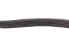 Ремень генератора MB Sprinter CDI (-AC) (с обводным роликом) (6PK2260) INA FB 6PK2260 (фото 3)