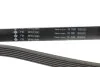 Ремень генератора MB C-class (W202/203)/E-class (W124/W210/211) M112/M113 INA FB 6PK2390 (фото 3)