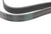 Ремень генератора MB E-class (W210) 4.2/5.0/Audi A8 3.0D 10-18 (6PK2433) INA FB 6PK2433 (фото 3)