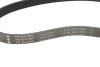 Ремень генератора Citroen Berlingo/Peugeot Partner 1.6HDI (6PK800) INA FB6PK800 (фото 4)