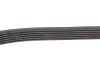 Ремінь генератора Peugeot Partner 1.6 HDI 08-/Ford Connect 1.6TDCi 13- (+AC) INA FB 6PK975 (фото 3)