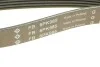 Ремень генератора BMW 1 (F20/F21)/3 (F30/F80) 1.6i 11-/Honda Civic VII/FR-V 1.7i 01- INA FB 6PK985 (фото 4)