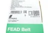 Ремень генератора Ford Transit 2.4 TDCI 06- (7PK2843) INA FB 7PK2843 (фото 5)