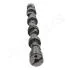 DAEWOO вал розподільчий Nexia 1.5 95- JAPANPARTS AA-DW000 (фото 3)