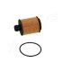 OPEL фільтр масляний Insignia 2,0CDTI 08- JAPANPARTS FO-033JM (фото 1)