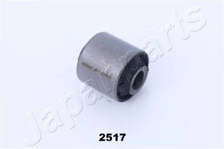 TOYOTA с/блок задн. ALTEZZA 98- JAPANPARTS RU-2517