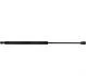 HYUNDAI Газовий амортизатор багажника GETZ (TB) 1.1-1.6 02-09 JP GROUP 3581200700 (фото 1)