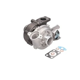 Турбіна нова FORD Fiesta 09-17, Focus II 04-11, C-MAX 02-10; PEUGEOT Partner 08-, 5008 09-16, 207 06-15; CITROEN Berlingo 08-18, C4 04-11, Berlingo 96-08; MAZDA 3 BL 09-13, 3 BK 03-09; VOLVO V70 07-16, S80 06-16, C30 06-13; MINI Cooper R56 07-14, Cl JRONE 8G15-300-310
