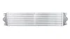 Інтеркулер Nissan Interstar - Opel Movano - Renault Master Ii Intercooler (34510 Kale 345100 (фото 1)