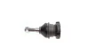 Опора шаровая (передняя/снизу) MB M-class (W163) 98-05 KAPIMSAN 14-05303 (фото 2)