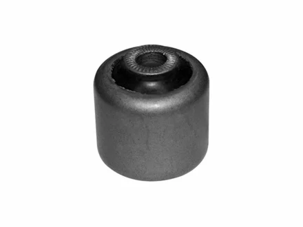 KAUTEK-TEKNOROT BMW С/блок важеля передн.нижній X3 E83,X5 E53,E28/34/E32 Kautek BM-BS055
