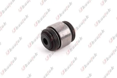 KAUTEK-TEKNOROT BMW С/блок задньої підвіски X3 E83 04- Kautek BM-BS079