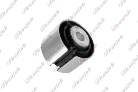 KAUTEK-TEKNOROT BMW С/блок заднього важеля 7 F01,5 F10 Kautek BM-BS087