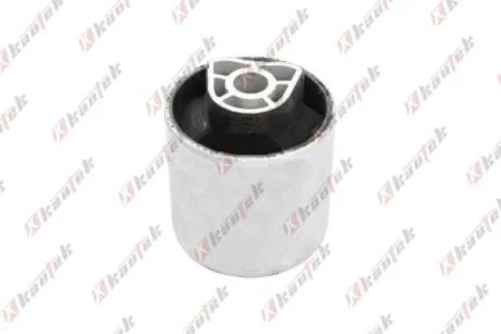 KAUTEK-TEKNOROT BMW С/блок переднього важеля 5 G30 16- Kautek BM-BS158