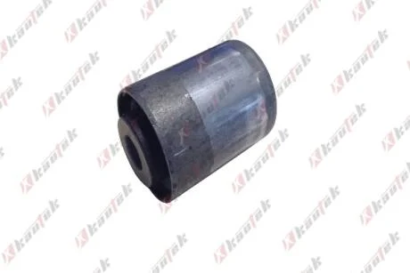 KAUTEK-TEKNOROT CHRYSLER С/блок передн.важеля 300C Kautek CR-BS011