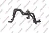 KAUTEK шланг CITROEN 1.6 HDI Kautek FD-RH040 (фото 1)