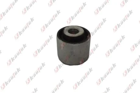 KAUTEK-TEKNOROT DB С/блок заднього важеля W140 Kautek ME-BS021