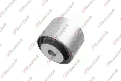KAUTEK-TEKNOROT DB С/блок важеля заднього W211 Kautek ME-BS037