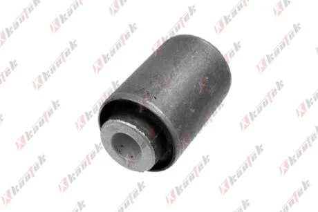 KAUTEK-TEKNOROT DB С/блок заднього важеля W124/201/202/210 Kautek ME-BS172