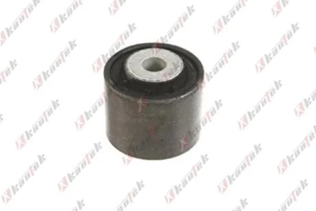 KAUTEK-TEKNOROT DB С/блок заднього важеля W203 00-07 Kautek ME-BS180