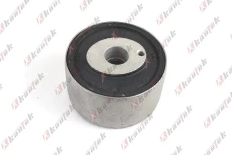 KAUTEK DB С/блок заднього важеля W202 Kautek ME-BS213