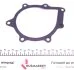 Помпа води Citroen Jumper/Peugeot Expert 2.0 BlueHDi 15- KAVO MW-4446 (фото 5)