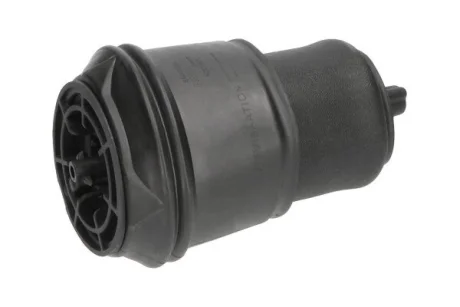 PARTS CITROEN задн. пневмо. подушка Jumpy III KAVO SAS-10024