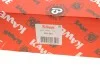 Комплект сцепления Ford Escort 1.6/1.8 16V 95-99 (d=210mm) (+выжимной) KAWE 961361 (фото 9)