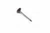 Клапан впускной IN FIAT/OPEL 194A1/939A5/939A6/Z22SE/Z22YH 35.2X6X102.2 (выр-во KS) KOLBENSCHMIDT 291109 (фото 1)