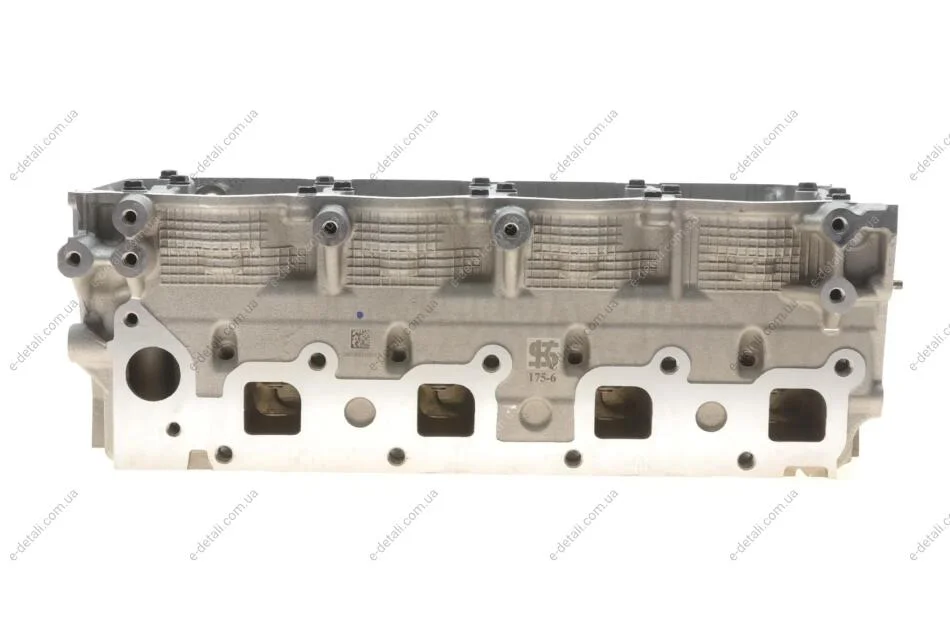 Головка блока цилиндров Nissan Pathfinder 2.5 dCi/X-Trail 2.2 dCi 01- KOLBENSCHMIDT 50003175 (фото 1)