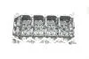 Головка блока цилиндров Nissan Pathfinder 2.5 dCi/X-Trail 2.2 dCi 01- KOLBENSCHMIDT 50003175 (фото 7)