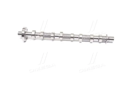 Распредвал Renault Espace/Koleos/Laguna/Master/Megane 2.0/2.3 dCi 05- (выпуск) KOLBENSCHMIDT 50007709