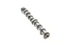 Розподільний вал BMW 5 (F10/F11) 11-16/X5 (F15/F85) 2.0 i (N20) 15-18 (випуск) KOLBENSCHMIDT 50007920 (фото 3)