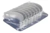 Вкладыши шатунные BMW 3 (F30/F80)/5 (F10)/X5 (F15/F85) 11-18 N20/N26 (+0.50) KOLBENSCHMIDT 77965620 (фото 1)