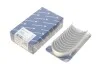 Вкладыши шатунные BMW 3 (E90/F30/F80)/5 (F10)/X5 (F15/F85) 3.0 N54/N55 06-18 (+0.50) KOLBENSCHMIDT 77967620 (фото 1)