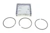 Кільця поршневі Renault Trafic 1.9dCi (80.50mm/+0.5) (2.5-2-3) KOLBENSCHMIDT 800036110050 (фото 1)