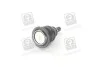 Кульова опора BMW 3 (E30) "F "85-"94 LEMFORDER 10519 03 (фото 3)