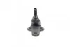 Опора шаровая (передняя/снизу) Ford Focus II 1.4-2.0TDCi 04-12/C-Max 07-10/Volvo C30/C70/S40 04- LEMFORDER 30461 03 (фото 2)